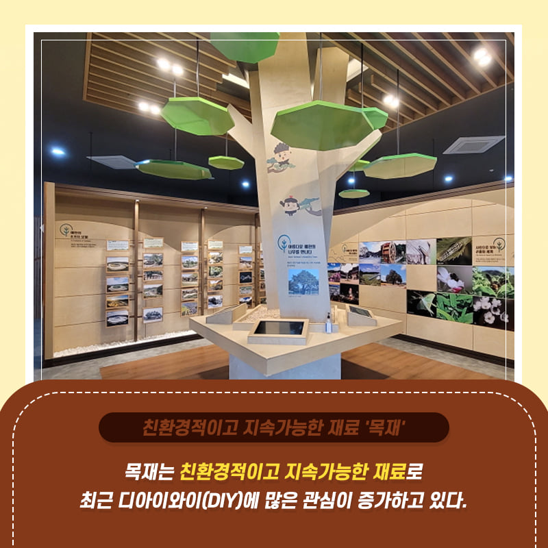 5.다양한 목재문화 체험을 즐길 수 있는 예천목재문화체험장 개장